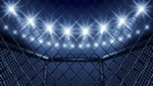 Η αλήθεια για τις πολεμικές τέχνες